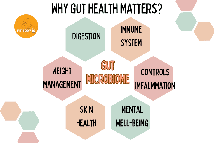 An illustration of a vibrant, diverse microbiome in the human gut, showcasing the importance of gut health. A healthy gut microbiome is essential for digestion, nutrient absorption, immune system support, and overall well-being. It influences our physical and mental health, making it crucial for a balanced and thriving life."